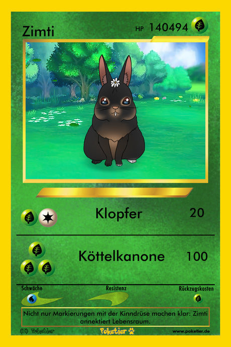 Kaninchen-Pokémon bleiben Ihnen für immer in Erinnerung!