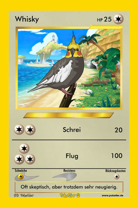 Lernen Sie Vogel-Pokémon-Karten kennen: Eine magische Welt voller Zusammenkünfte und Kämpfe zwischen gefiederten Freunden!!