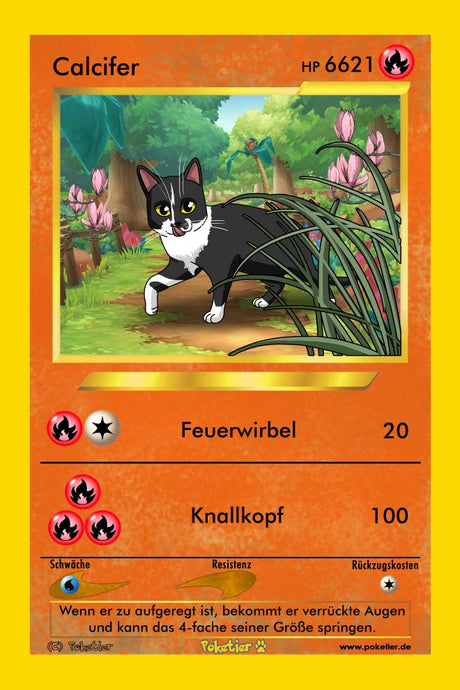 Willkommen in der zauberhaften Welt der Pokémon-Katzen!!!